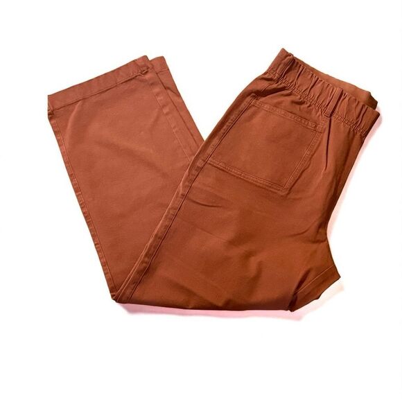 AnyBody Regular All-Stretch Twill Straight Leg Ankle Pants Size Medium - Picture 2 of 12